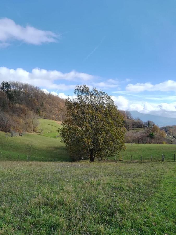 028 - Agriturismo "Il Boschetto" Con Piscina, Pace E Natura - Camera Familiare Cavizzano 外观 照片